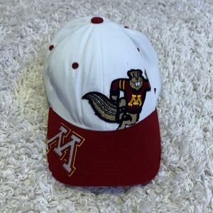 Minnesota gophers hat